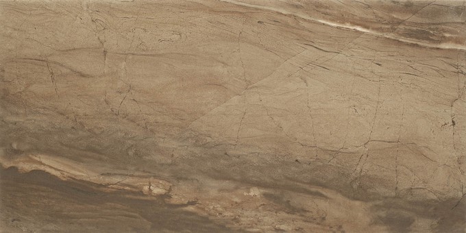 Owl Image