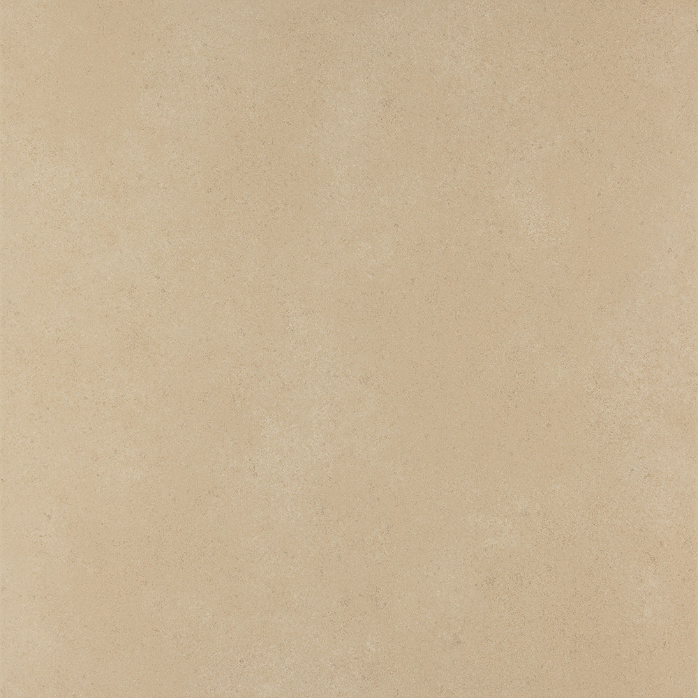  Bone