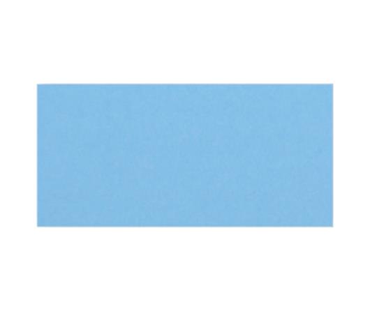 Owl Image