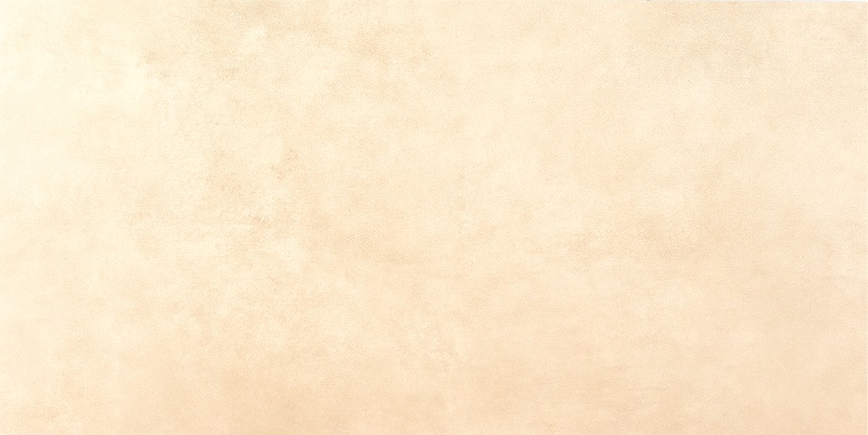 Owl Image