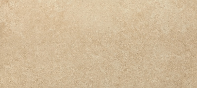 Owl Image