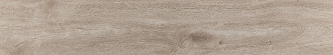 Owl Image
